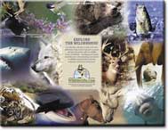 wildlifecalendar