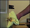 smarttowel