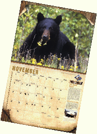 wildlife