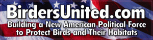 birders birders