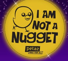 nugget