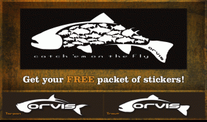 fly
