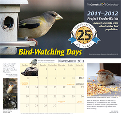birdwatching