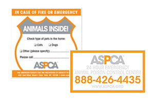 Free ASCPA Pet Safety Pack
