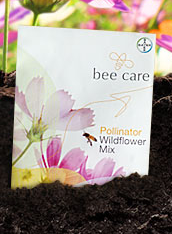 Free Feed a Bee Wildflower Mix Seed Packet