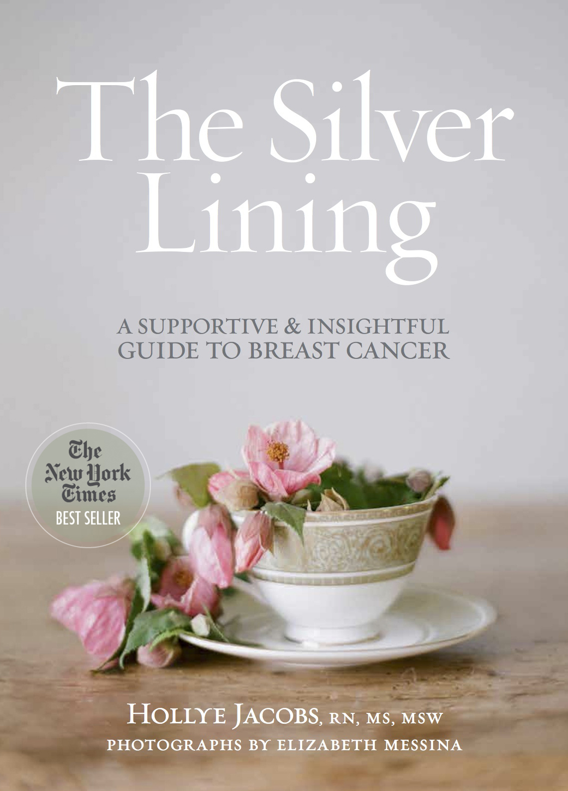 Free Book The Silver Lining by Hollye Jacobs