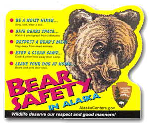 bearsafety