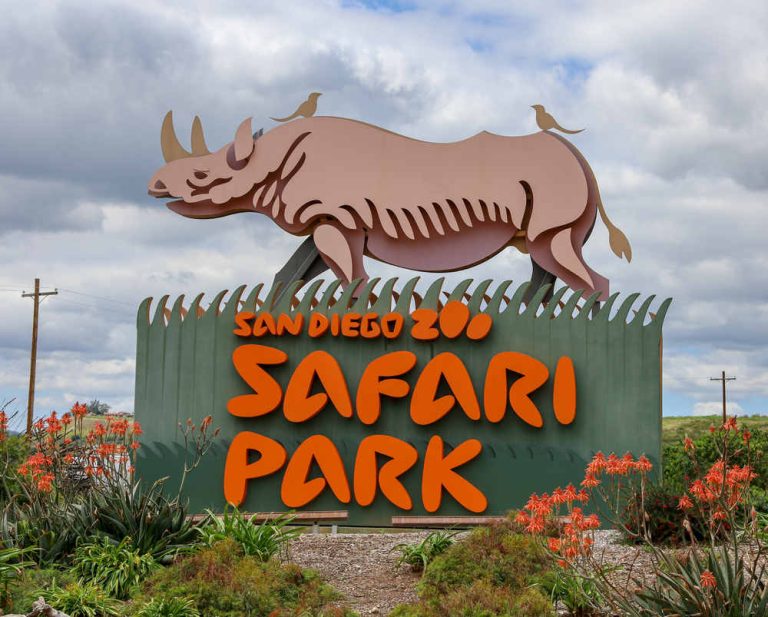 san diego zoo safari park free admission for seniors